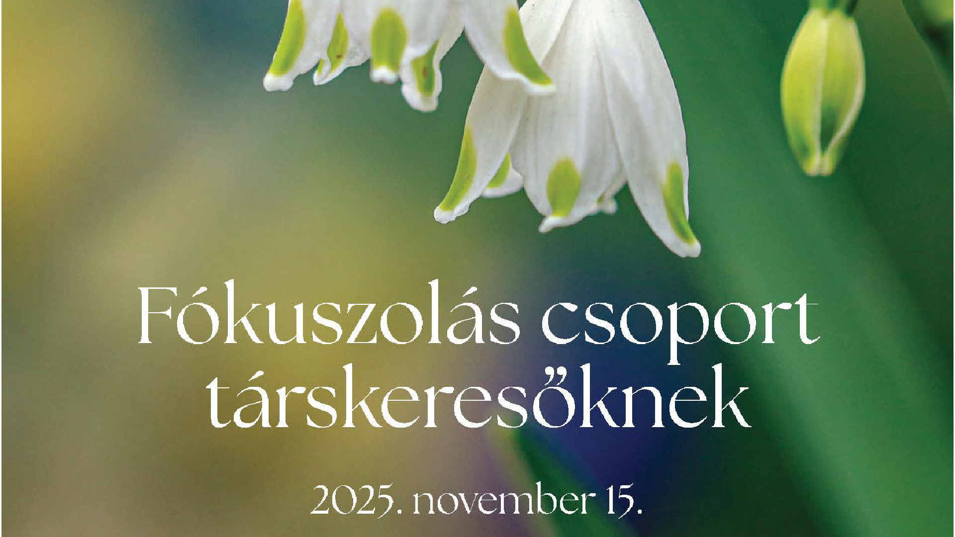 Találd meg önmagad és a társad // 2025. november 15.